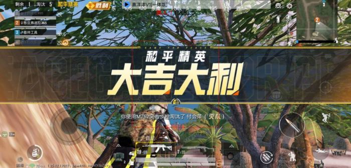 火焰鸟直装科技 - 高兼容稳定辅助合集